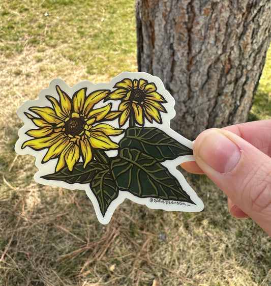 Arrowleaf Balsamroot Sticker