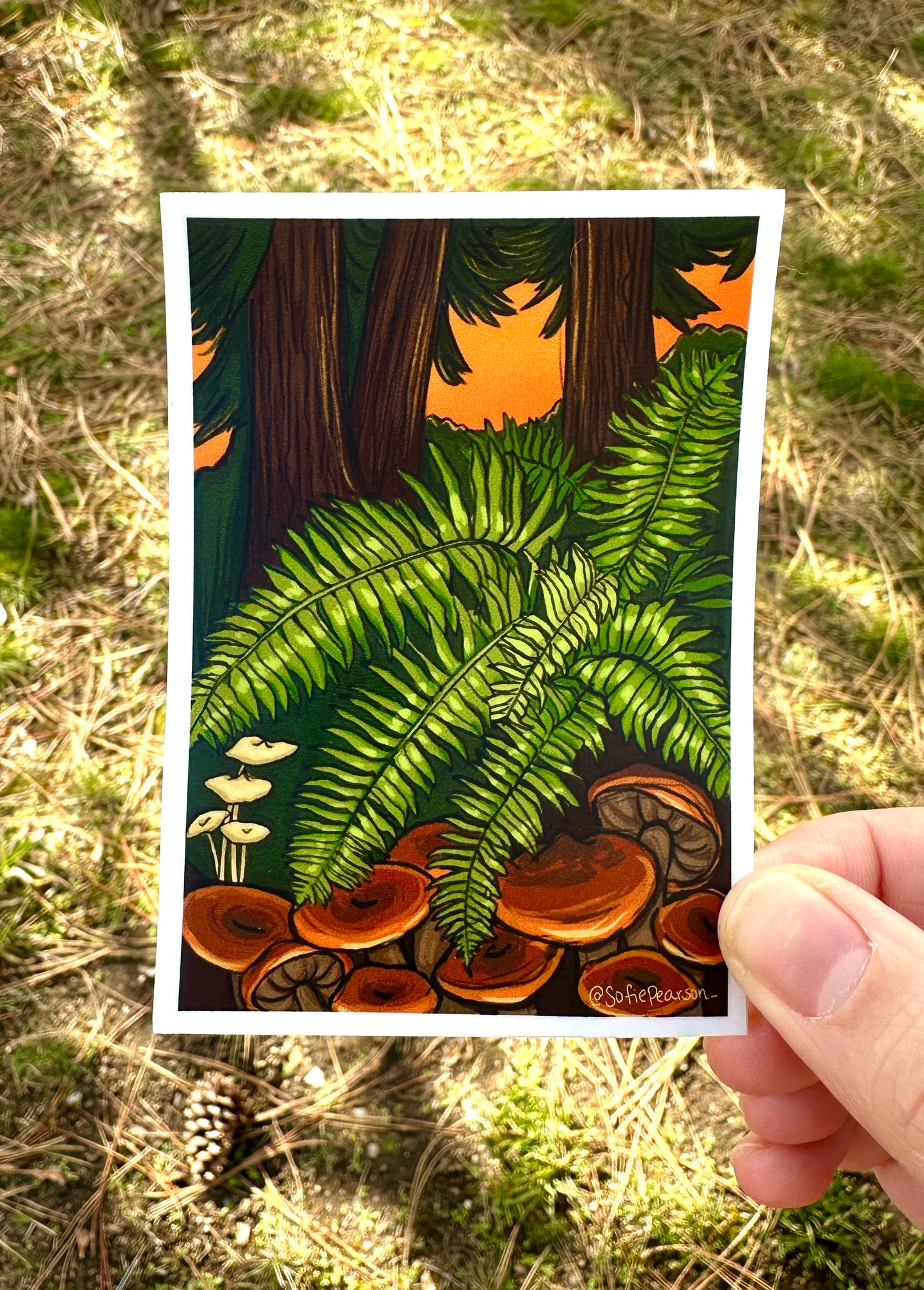 Ferns & Mushies Sticker
