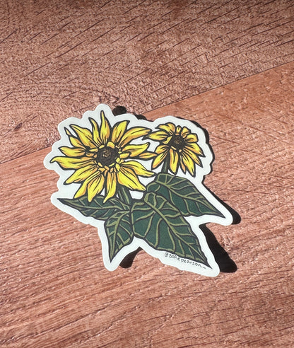 Arrowleaf Balsamroot Sticker