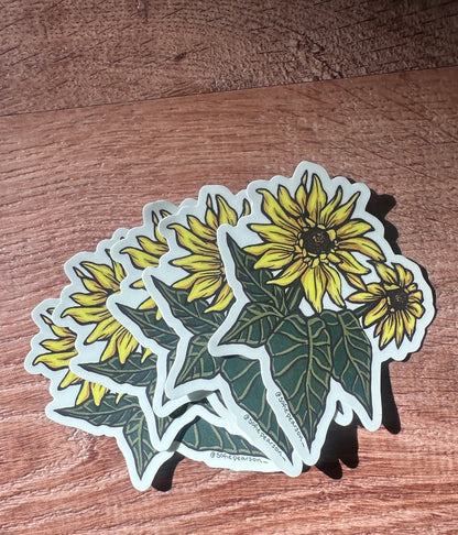 Arrowleaf Balsamroot Sticker