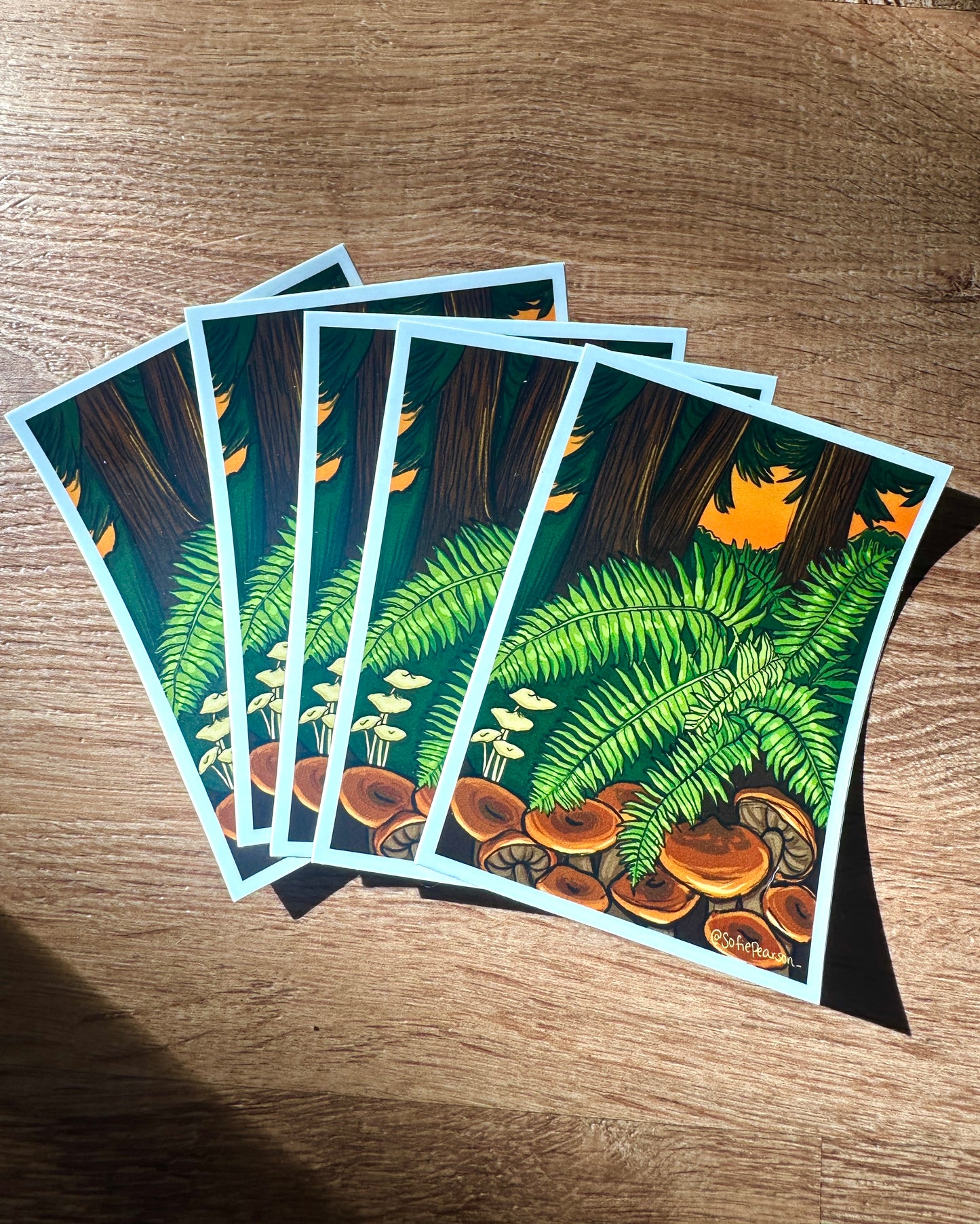 Ferns & Mushies Sticker