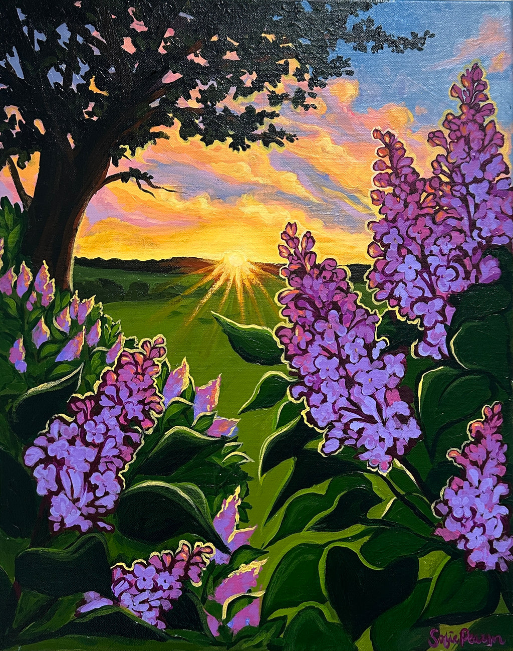 Golden Hour Lilacs