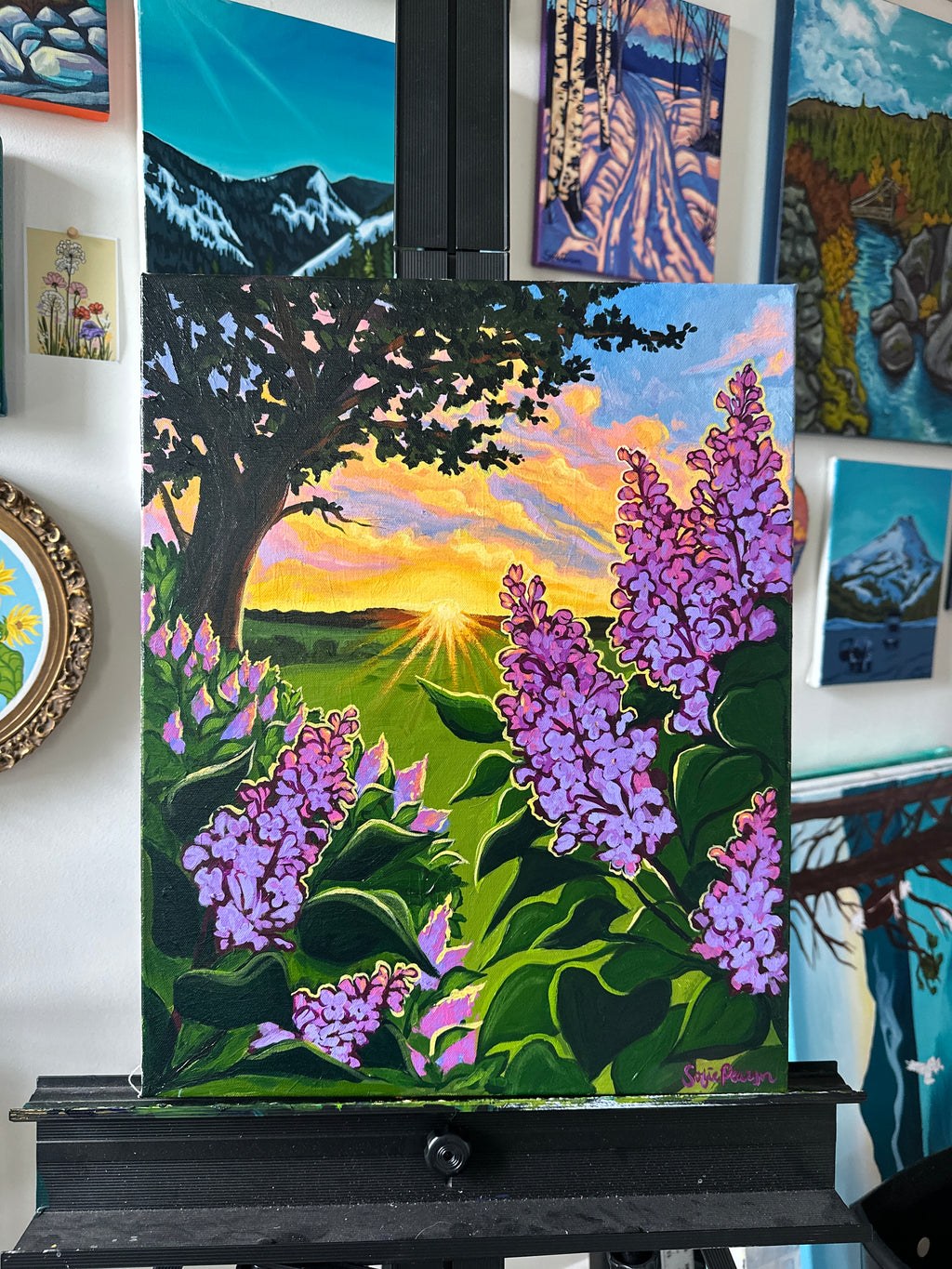 Golden Hour Lilacs